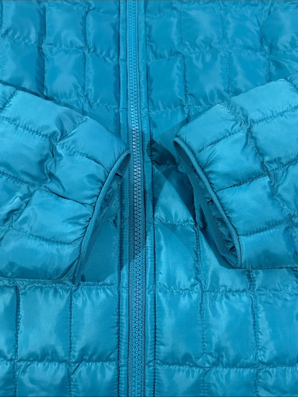 The North Face north face